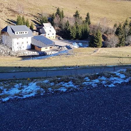 Ferienwohnung Natururlaub Muggenbrunn Тодтнау Экстерьер фото