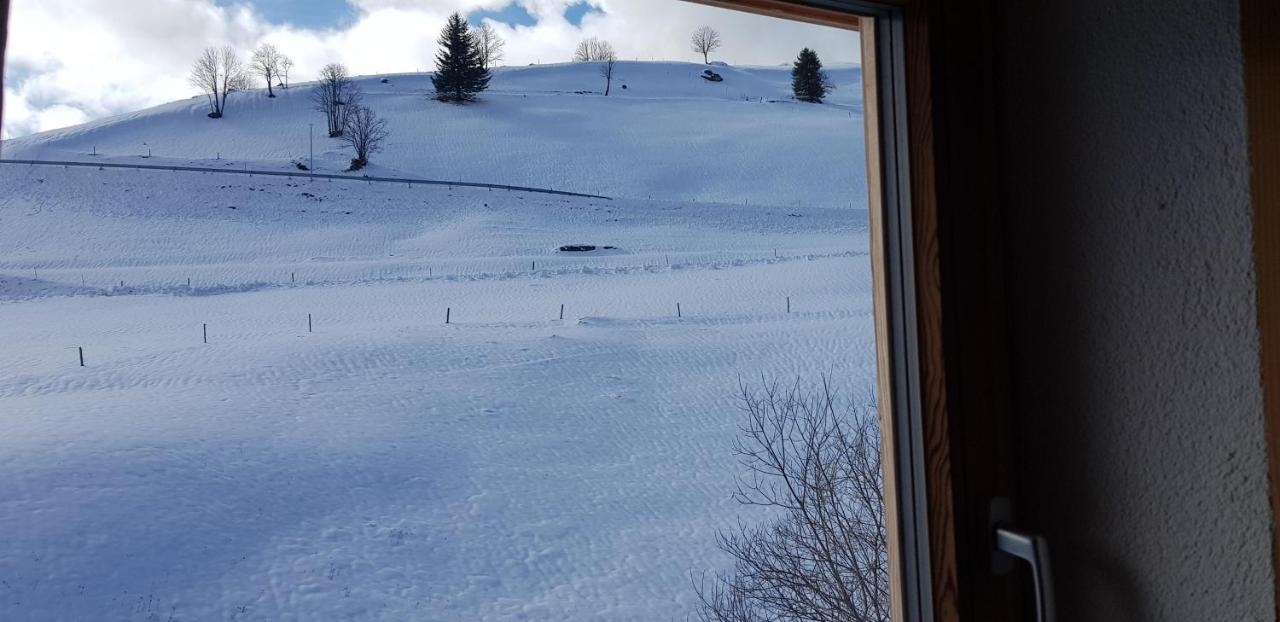 Ferienwohnung Natururlaub Muggenbrunn Тодтнау Экстерьер фото